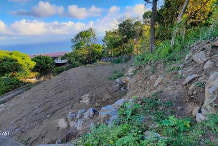 TROIS RIVIERES chemin de Roussel, Bourg-Chemin Neuf, Trois-rivières, Guadeloupe