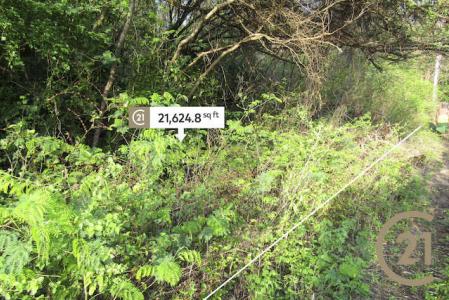 Frangipani Drive - Lot No.10, True Blue, St.george West Indies, Grenada