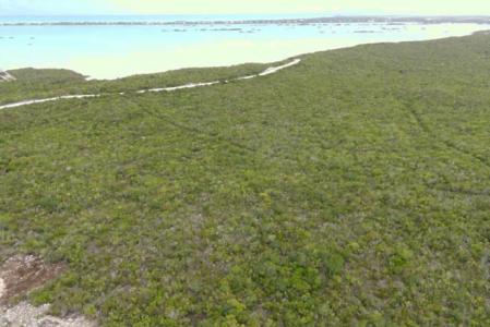 Near The Airport, Blue Hills, Providenciales, Ilhas Turcos E Caicos