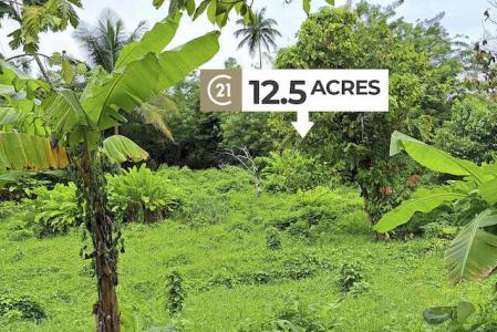 La Digue -12.5 Acres, La Digue, St.andrew West Indies, Гренада