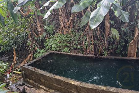 La Digue -12.5 Acres, La Digue, St.andrew West Indies, Гренада