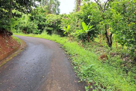 La Digue -12.5 Acres, La Digue, St.andrew West Indies, Гренада