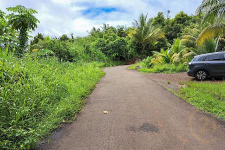La Digue -12.5 Acres, La Digue, St.andrew West Indies, Гренада