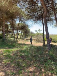Loulé, Faro 8135-024, Portugal