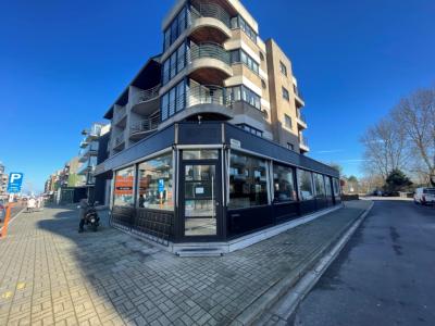 Strandlaan 242, Sint-idesbald, بلجيكا 