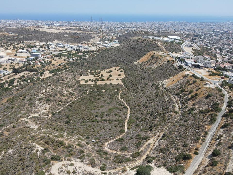 Limassol City, قبرص