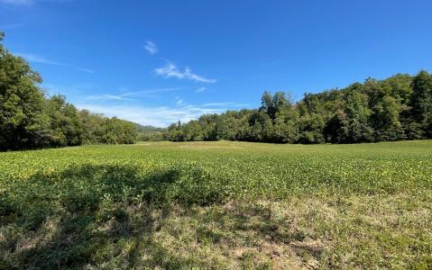 37+ac Jarrett Road, Hayesville, North Carolina 28904, Stati Uniti
