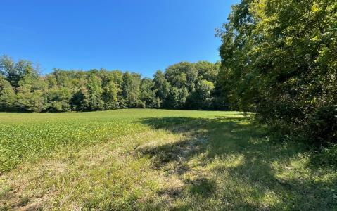 37+ac Jarrett Road, Hayesville, North Carolina 28904, Stati Uniti