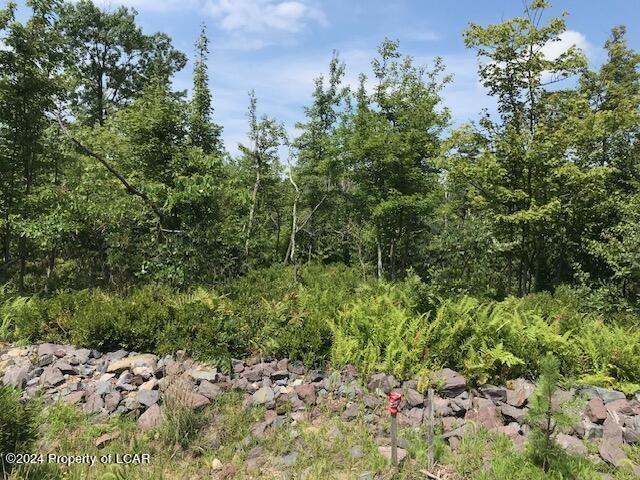 555 Mountain View Drive, Hazle Twp, Pennsylvania 18202