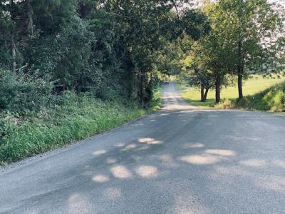 Lot 2 Falcon Road, Carbondale, 일리노이 62901, 미국