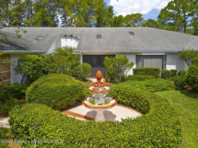 6049 Patricia Place, Weeki Wachee, Florida 34607