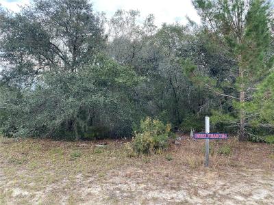 0 Undetermined, OCALA, Florida 34473, Stati Uniti