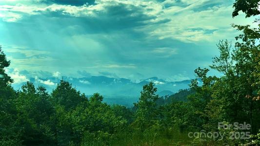 0 N Tranquility Trail #41 Lot 41, Union Mills, 北卡罗来纳州 28167, 美国