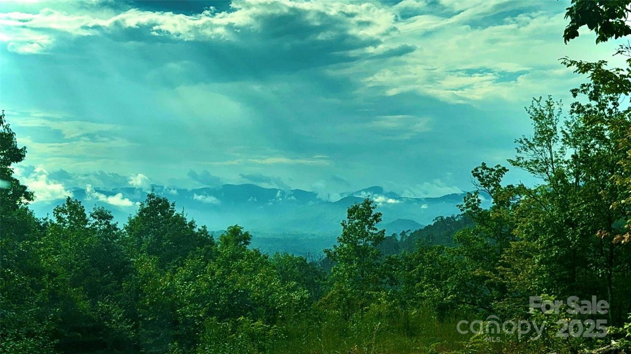 0 N Tranquility Trail #41 Lot 41, Union Mills, 北卡罗来纳州 28167, 美国