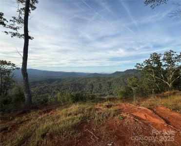 0 Shoal Ridge #4 Lot #4, Union Mills, 北卡罗来纳州 28167, 美国