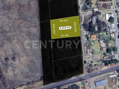 CARR. NACIONAL GUADALAJARA - MORELIA, KM 62.2 ESQ. CALLE PASEO DE LAS GARDENIAS, PURUAGUA S/N, Tuxcueca, Jalisco 49430, Mexico