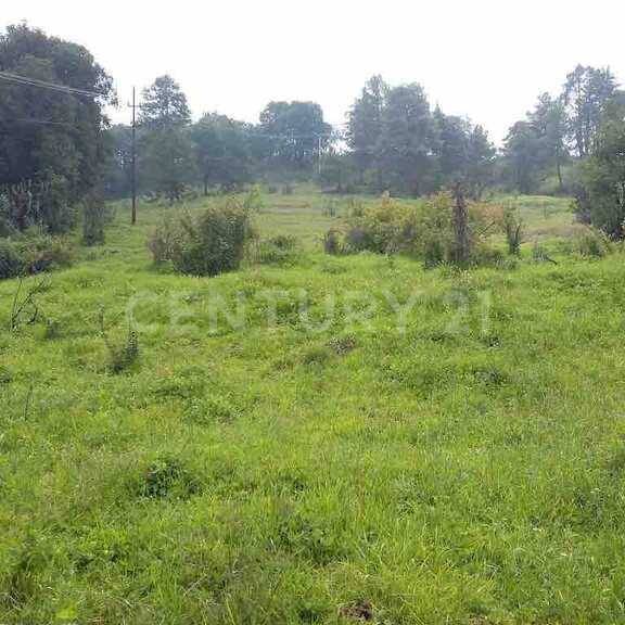 Morelos , Tlalmanalco, ولاية مكسيكو 56700, المكسيك