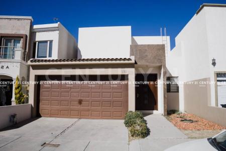 치와와, 치와와 31115, 멕시코