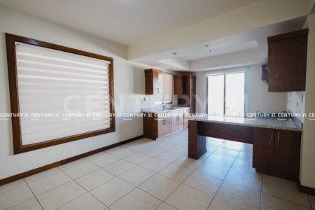 치와와, 치와와 31115, 멕시코