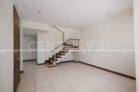 치와와, 치와와 31115, 멕시코