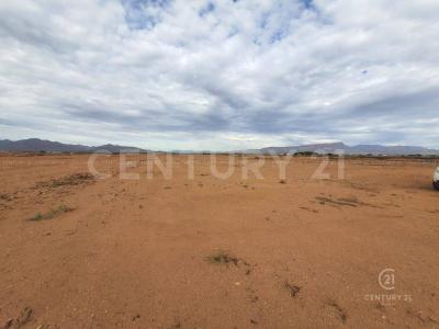 Chihuahua, Chihuahua 31376, Messico