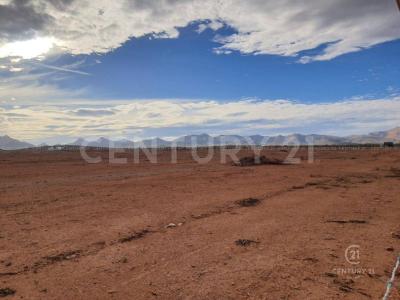 Chihuahua, Chihuahua 31376, Messico