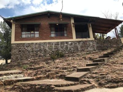 치와와, 치와와 31415, 멕시코