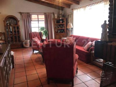 치와와, 치와와 31415, 멕시코