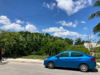 46 125, Progreso, 尤卡坦 97330, 墨西哥