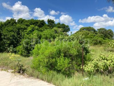 46 125, Progreso, 유카탄 97330, 멕시코