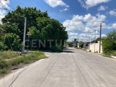 46 125, Progreso, 유카탄 97330, 멕시코