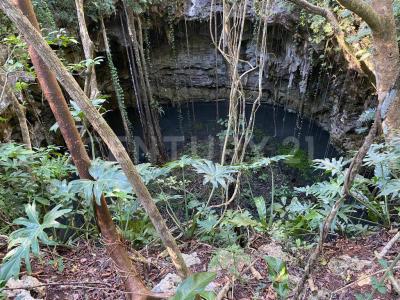 Valladolid, 유카탄 97780, 멕시코