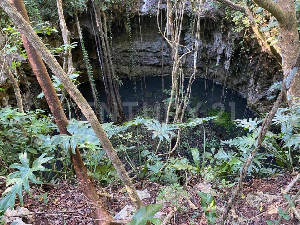 Valladolid, 유카탄 97780, 멕시코