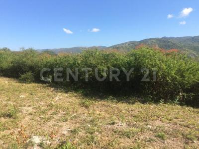 sin nombre sin numero, Eduardo Neri, Guerrero 40180, Mexico