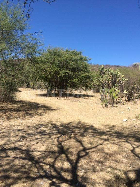 sin nombre sin numero, Eduardo Neri, Guerrero 40180, México