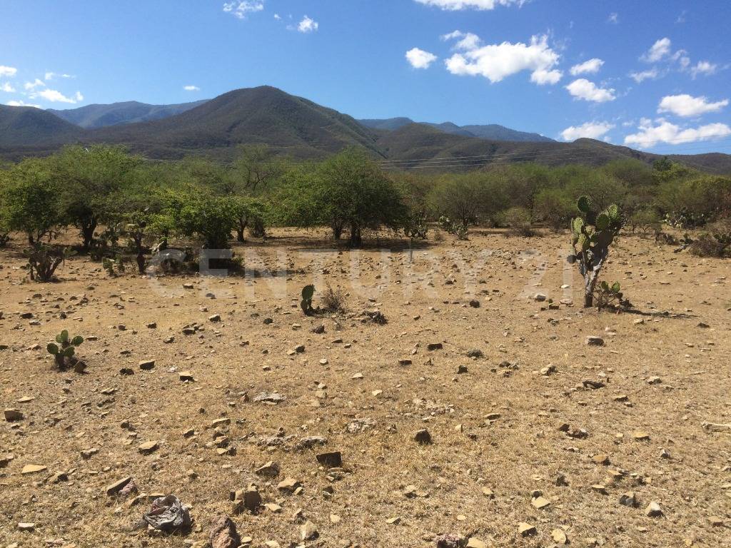 sin nombre sin numero, Eduardo Neri, Guerrero 40180, México