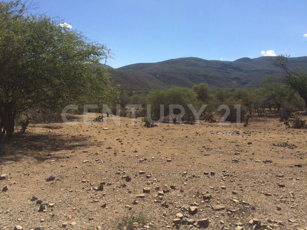 sin nombre sin numero, Eduardo Neri, Guerrero 40180, México