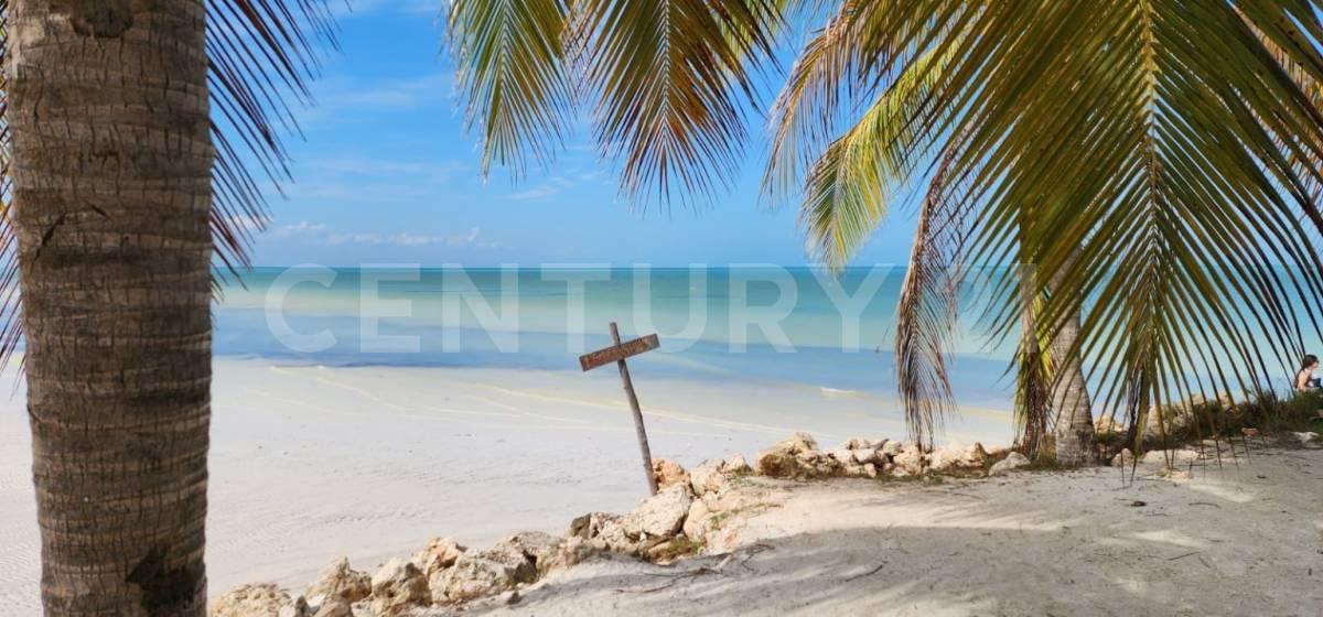 Av. Pedro Joaquin Coldwell, Lázaro Cárdenas, 金塔纳罗奥 77310, 墨西哥