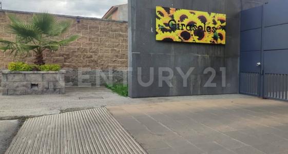 Condominio Los Girasoles Lote 45 Mz 4, Texcoco, Bang México 56235, Mexico