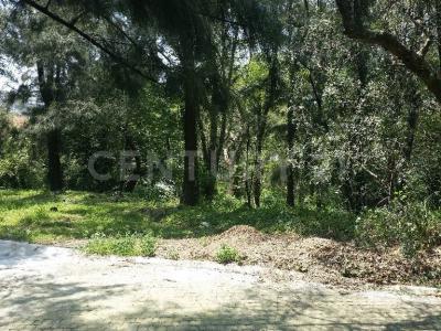 Camino Antiguo a San Lucas 538 Vía Ahuejote 7, Xochimilco, Ciudad De México 16300, México