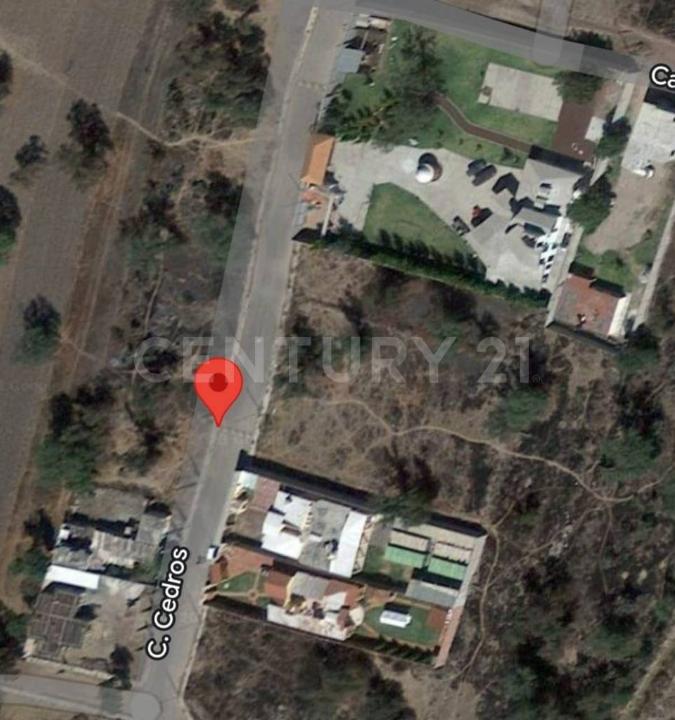 AV. DE LOS CEDROS QUINTA LAS FLORES S/N, Acolman, Estado De Mexico 55895, Mexico