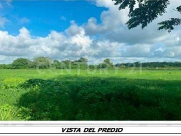Terreno en venta 116.8 ha. en zona Manlio Fabio Altamirano, Veracruz ., Manlio Fabio Altamirano, Veracruz 94250, Mexico