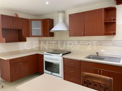 MARGARITA 7, 特拉斯卡拉, 特拉斯卡拉 90114, 墨西哥