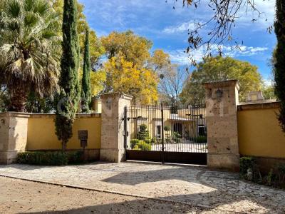 Saltillo, Coahuila 25297, Mexico