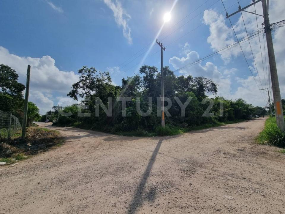 Alfredo Bonfil, calle emiliano zapata 01, Cancún/Benito Juárez, Quintana Roo 77500, México