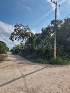 Alfredo Bonfil, calle emiliano zapata 01, Cancún/Benito Juárez, Quintana Roo 77500, México