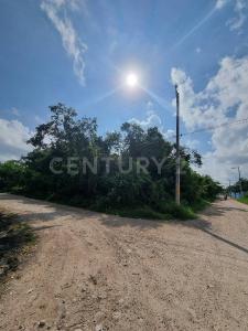 Alfredo Bonfil, calle emiliano zapata 01, Cancún/Benito Juárez, Quintana Roo 77500, México