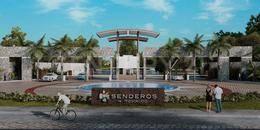 Senderos de Mayakoba km 299, Solidaridad / Riviera Maya, Quintana Roo 77710, Mexico