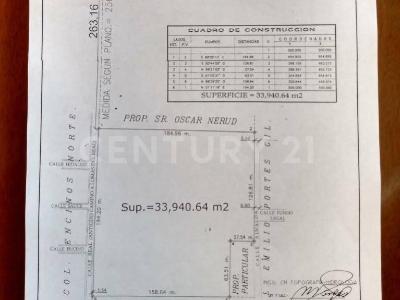 Altamira, Tamaulipas 89606, Mexique