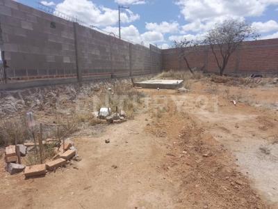 Damián Carmona , Mexquitic De Carmona, San Luis Potosi 78483, Mexiko